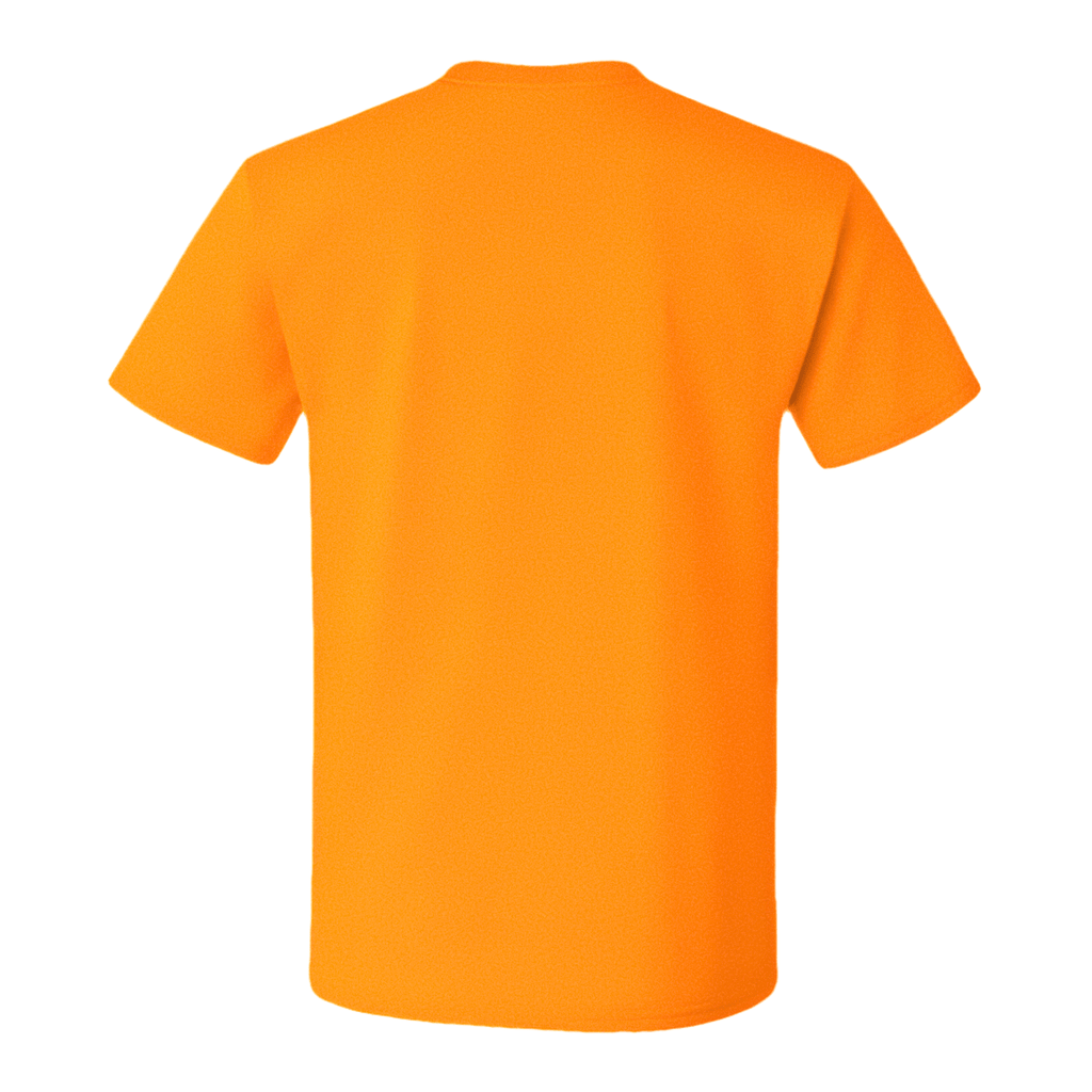 Crewneck Cotton T-Shirt – Classic Fit, Neon Orange back view showcasing clean lines and vibrant color.